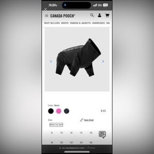 The snow suit Canada Pooch